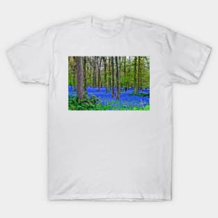 Bluebell Woods Greys Court Oxfordshire England UK T-Shirt